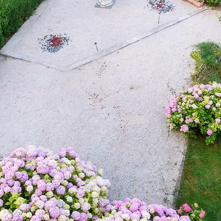 Custic Apartment Brisevo